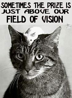 Często nagroda jest właśnie tuż nad naszym POLEM WIDZENIA...