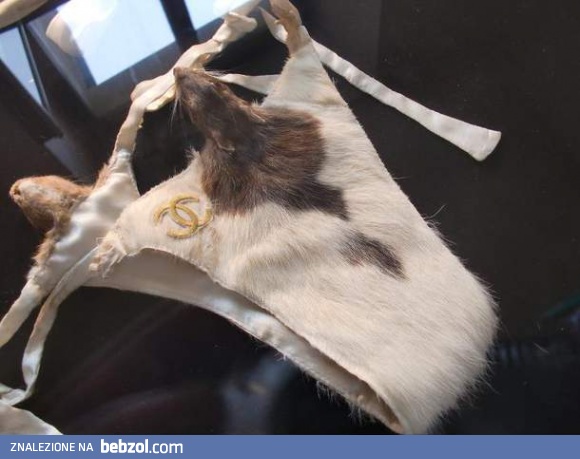 Najnowsza kolekcja Coco Channel