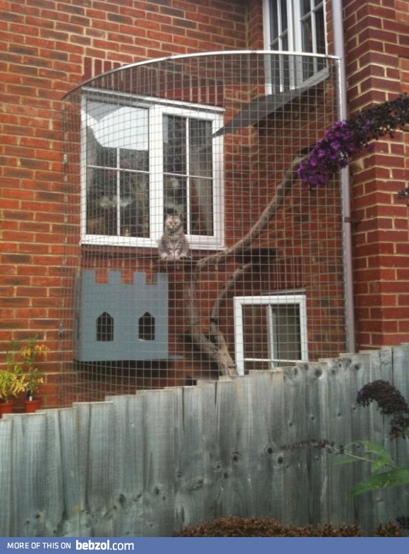 Caged for your safety