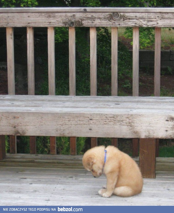 Proszę, zabierz mnie ze sobą...