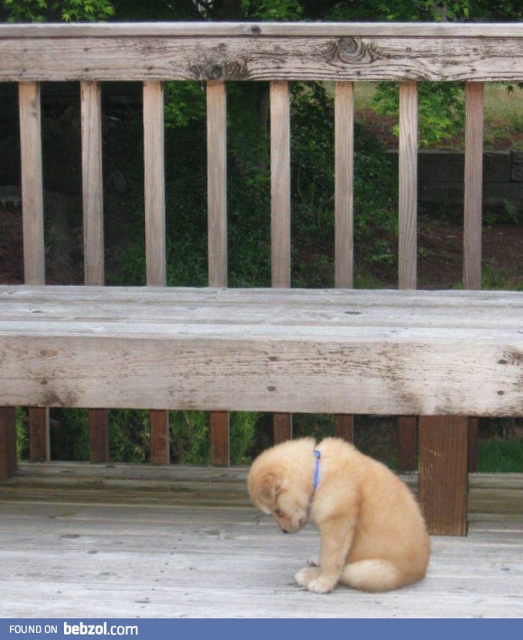 Please Forgive me, Father...