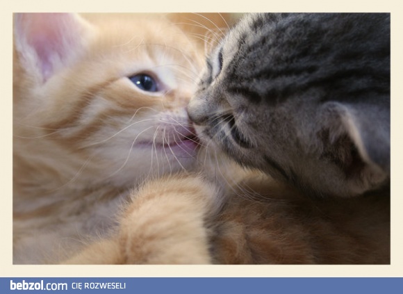 Romantyczny pocałunek