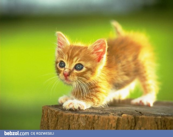 Nie wyspałem się dziś..