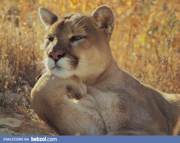 Co by tu dzisiaj zrobić?