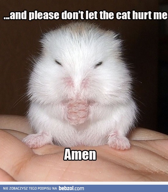 Aby modły zostały wysłuchane! 