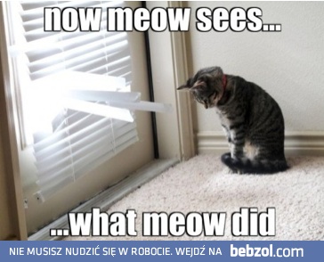 Teraz widzę, co zrobiłem.. 