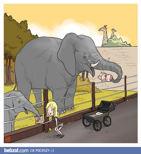 Dokarmianie zwierząt w ZOO...