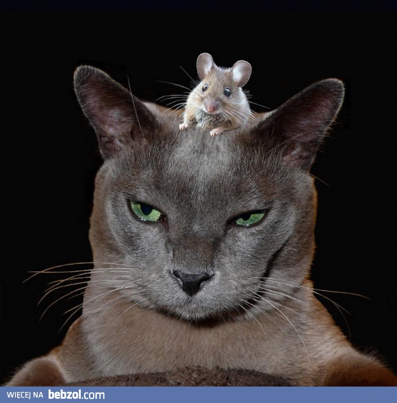 No to znowu mam na głowie problem...