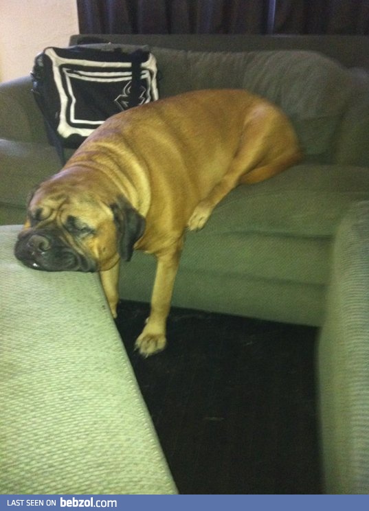 Don't speak to me at the morning