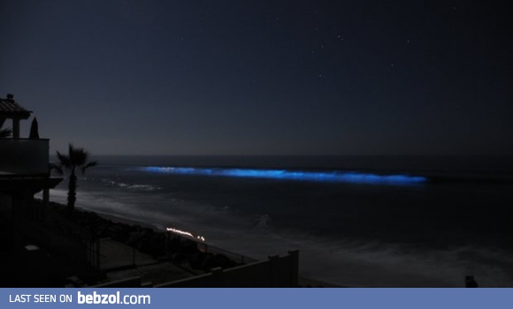 In San Diego during the recent blackout...glowing plankton.