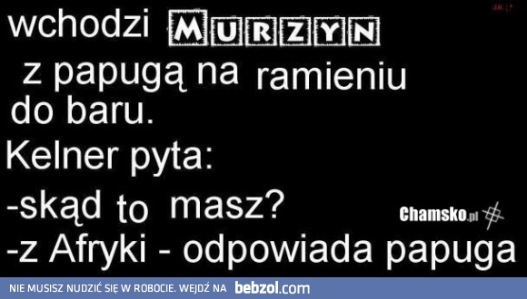 Murzyn z papugą