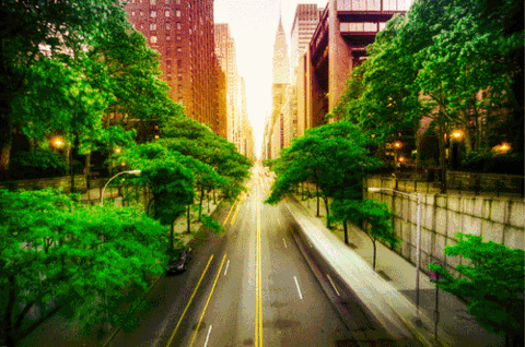 Pory roku w mieście 