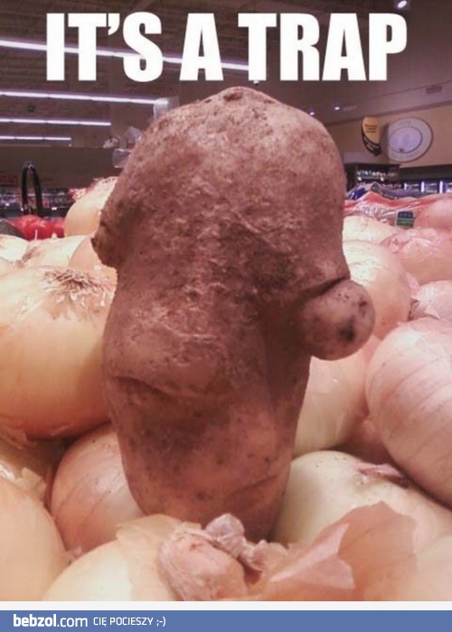To pułapka! 