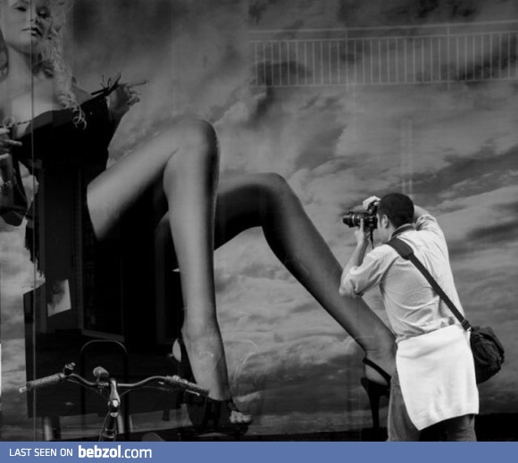 I wonder what's on the photo