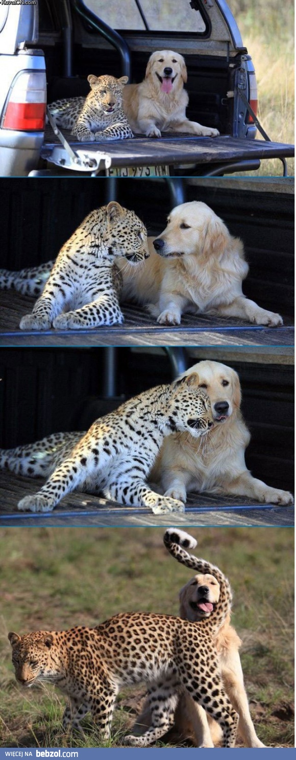 Prawdziwa przyjaźń