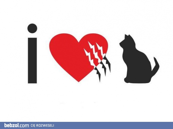 Kocham koty
