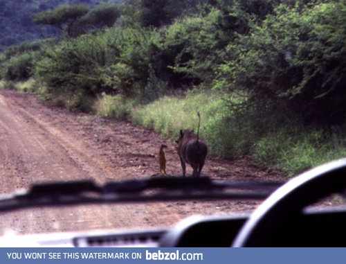 Please be real, please be real, please be real...