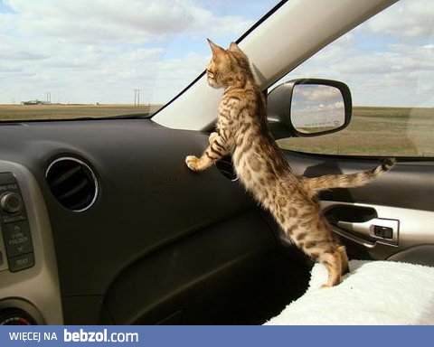 Czas na rozprostowanie kości! 