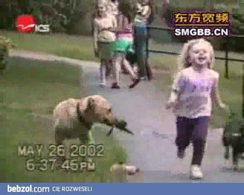 Śmieszne  incydenty z psami