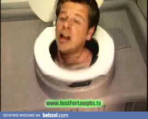 Męska głowa w sedesie 