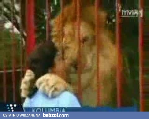 Lew  i jego wybawczyni