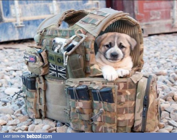 This is my fort. There are many like it, but this one is mine.  