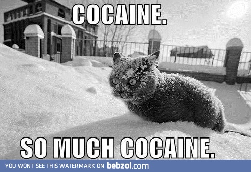 Hope he has tiger blood