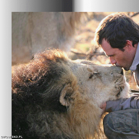 Lwy Kevina Richardsona