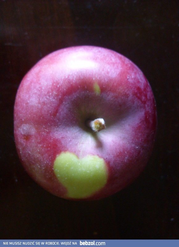 Jabłko z wyznaniem