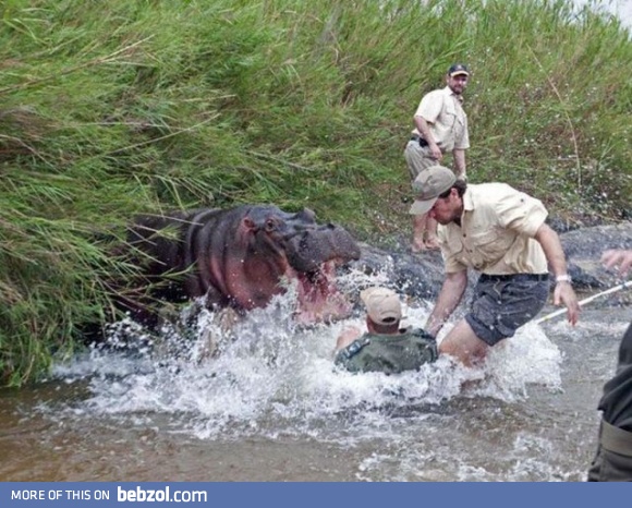 Give me all your marbles!  