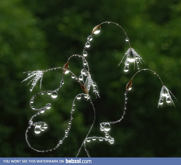 Magnificent Sculpture by Nature