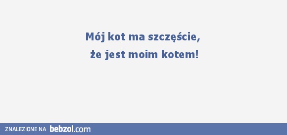 Mój kot ma szczęście!
