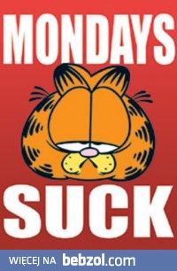 Poniedziałki są do d....