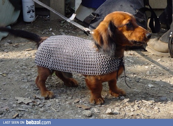 Always keep your wiener safe, use protection