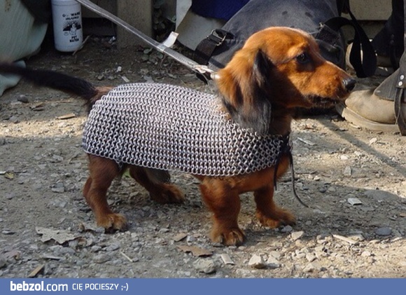 Bezpieczeństwo przede wszystkim