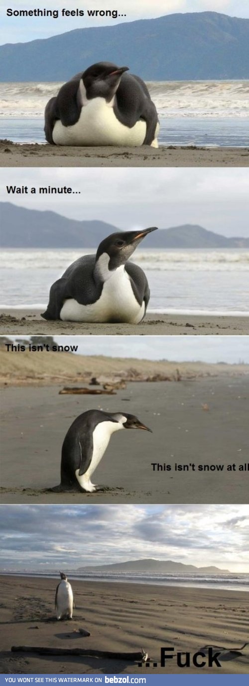 Something went wrong