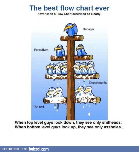 Best flowchart ever...