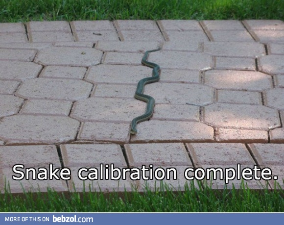 Snake calibration complete