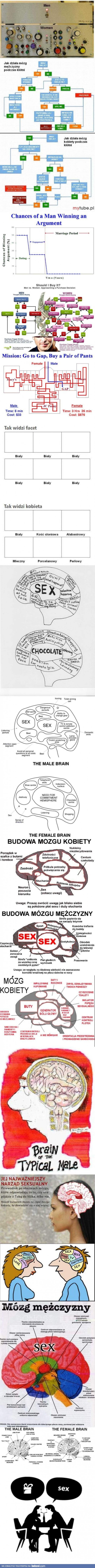 Kobieta vs mężczyzna