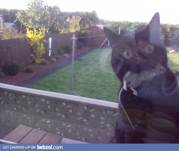 My cat brought me a present this morning.  