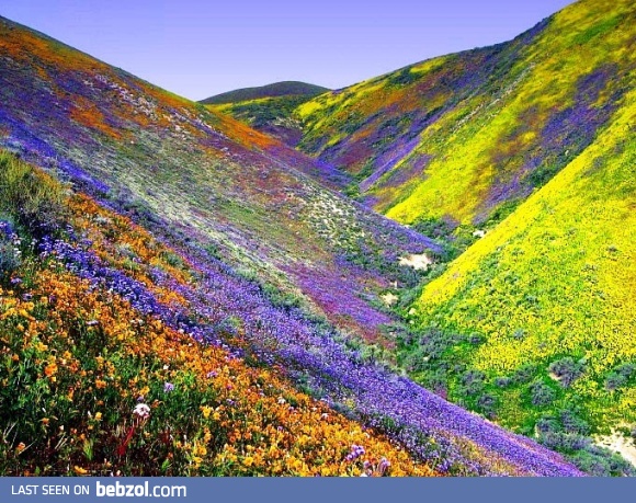 Imagine when the acid kicks in