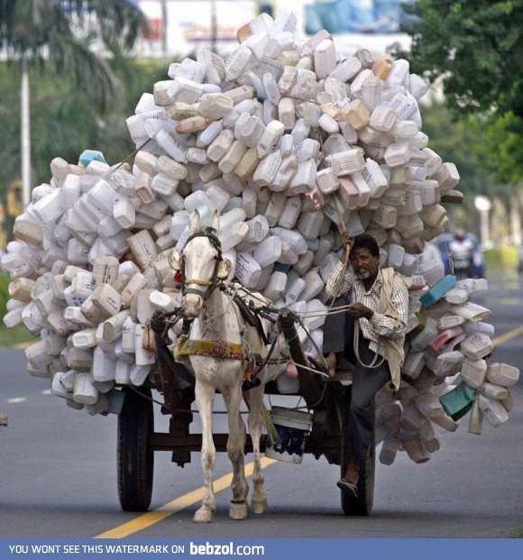 Donkey with some bottles