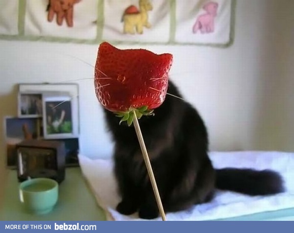 Strawberry-cat