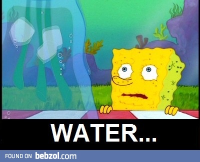 How I feel the morning after a night of drinking