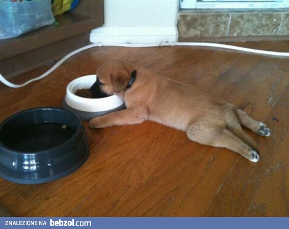 Śniadanie do łóżka