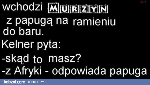 Murzyn z papugą