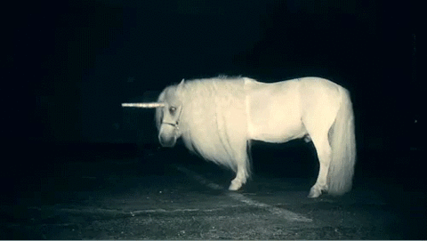 Jednorożce nie istnieją?!