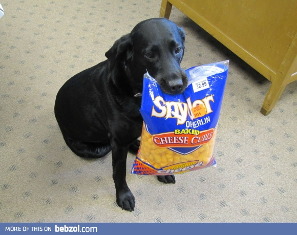 CAN SOMEONE PLEASE OPEN THIS?