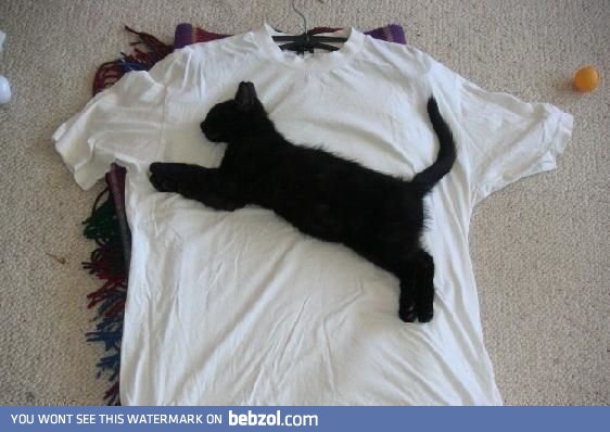 If you can't afford PUMA..