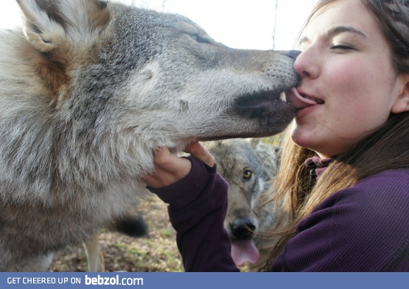 It's the wolf's tongue, I promise!